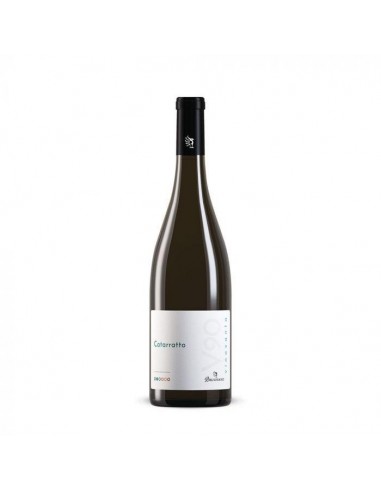 [bruV90cataratto] Brugnano V90 Catarratto Terre Siciliane IGT 75cl